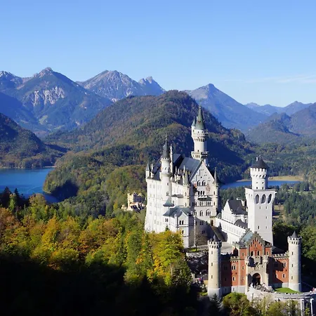 Alpensternchen Daire