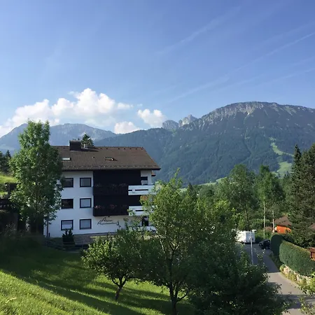 Alpensternchen Pfronten